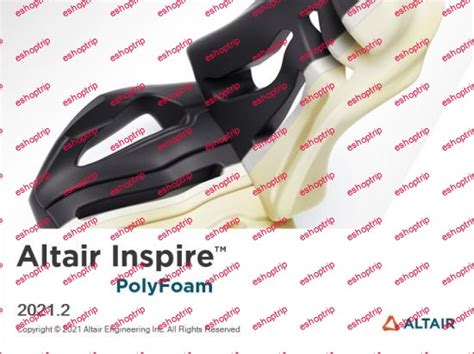 Altair Inspire PolyFoam 2025.0